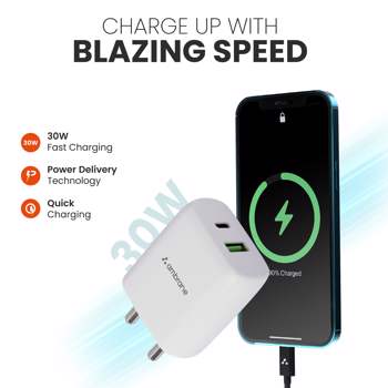 RAAP H30 Charger